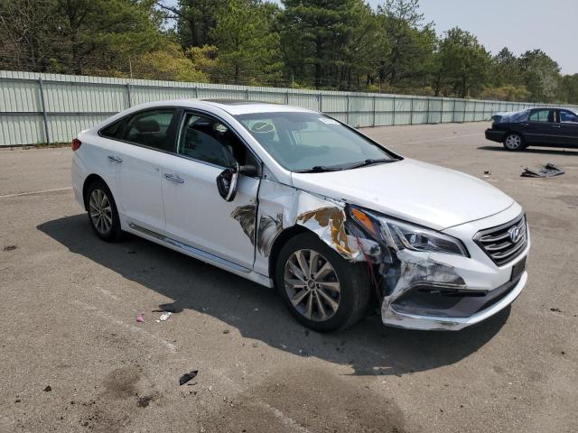 5NPE34AF3GH425166 - 2016 HYUNDAI SONATA SPORT BLACK photo 4