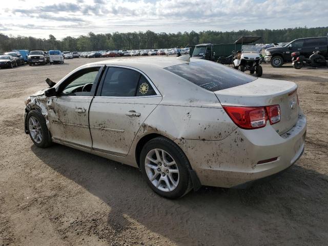 1G11C5SL6FF348951 - 2015 CHEVROLET MALIBU 1LT 金色 照片 2