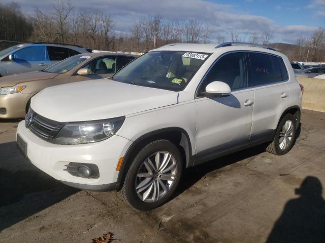 2013 VOLKSWAGEN TIGUAN S, 