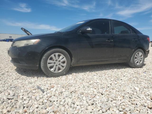 KNAFU4A26A5845037 - 2010 KIA FORTE EX BLACK photo 1