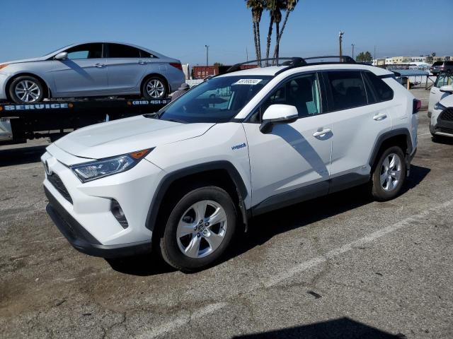 2020 TOYOTA RAV4 XLE, 