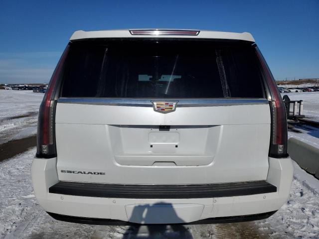 1GYS4KKJ3HR145050 - 2017 CADILLAC ESCALADE ESV PLATINUM Ақ фото 6