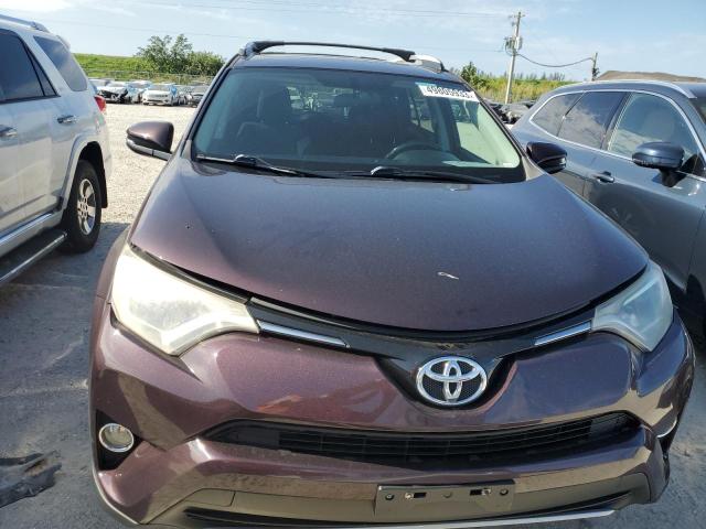 2T3RFREV5GW462087 - 2016 TOYOTA RAV4 XLE BURGUNDY photo 5