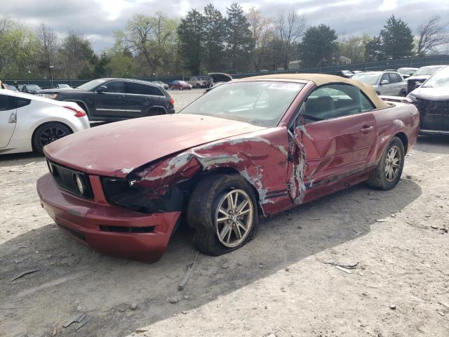 1ZVFT84N755215582 - 2005 FORD MUSTANG RED photo 1