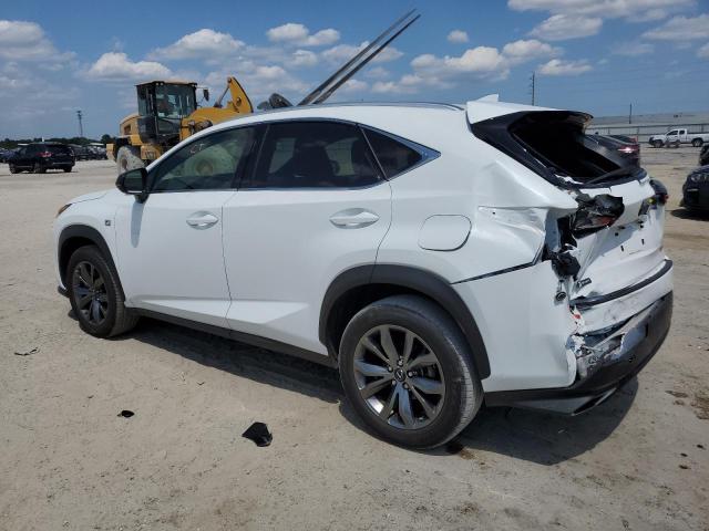 JTJSARBZ6M5024475 - 2021 LEXUS NX 300 BASE 白色 照片 2