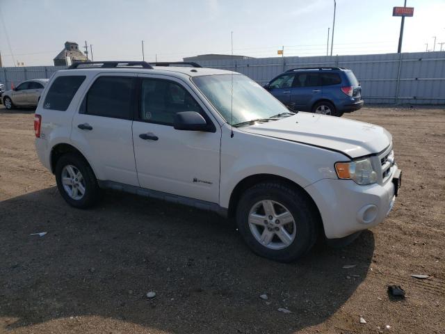 1FMCU59309KB92884 - 2009 FORD ESCAPE HYBRID WHITE photo 4