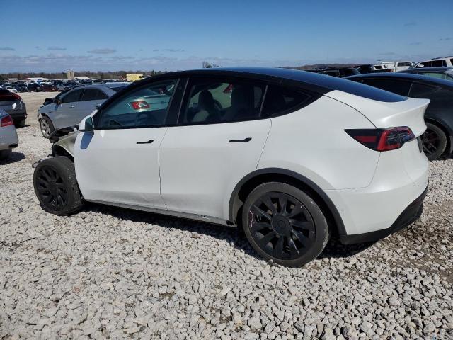5YJYGDEE2MF161905 - 2021 TESLA MODEL Y Ağ foto 2