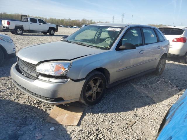 1G1ZT64834F156157 - 2004 CHEVROLET MALIBU MAXX LS SILVER photo 1
