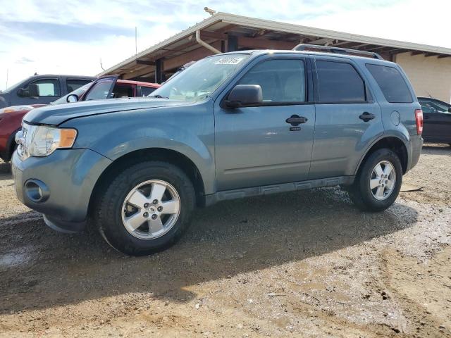 2010 FORD ESCAPE XLT, 