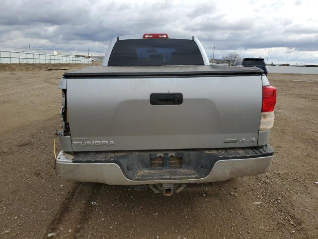 5TFUW5F15AX134444 - 2010 TOYOTA TUNDRA DOUBLE CAB SR5 SILVER photo 6