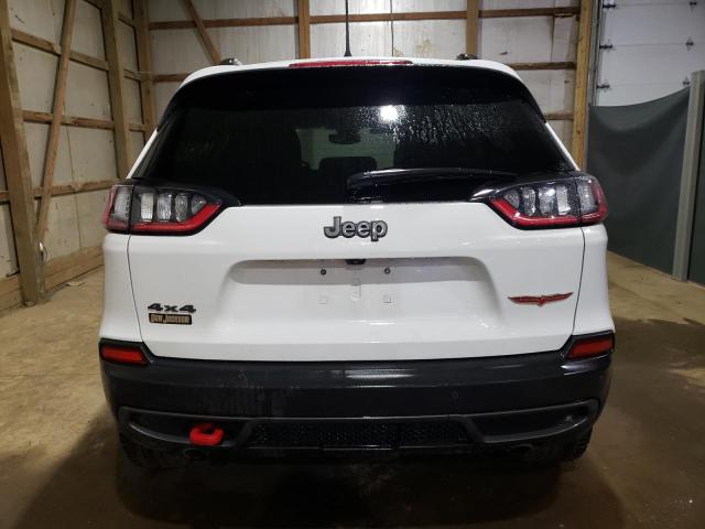 1C4PJMBX3ND504099 - 2022 JEEP CHEROKEE TRAILHAWK Ağ foto 6