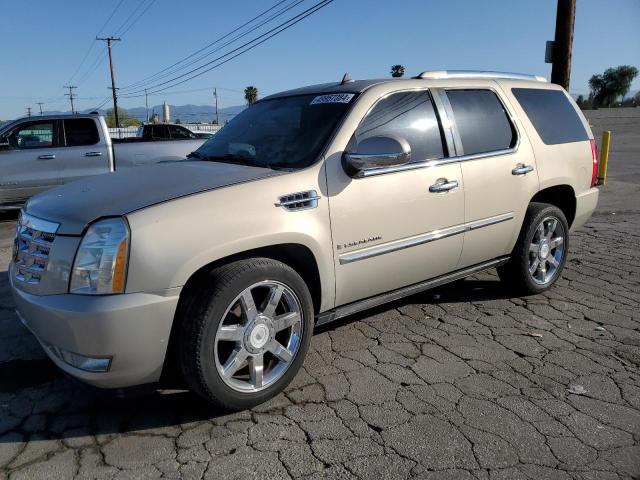 1GYFK63847R345279 - 2007 CADILLAC ESCALADE LUXURY GOLD photo 1