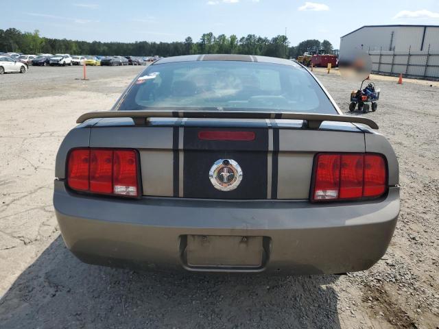 1ZVFT80N155124345 - 2005 FORD MUSTANG BEIGE photo 6