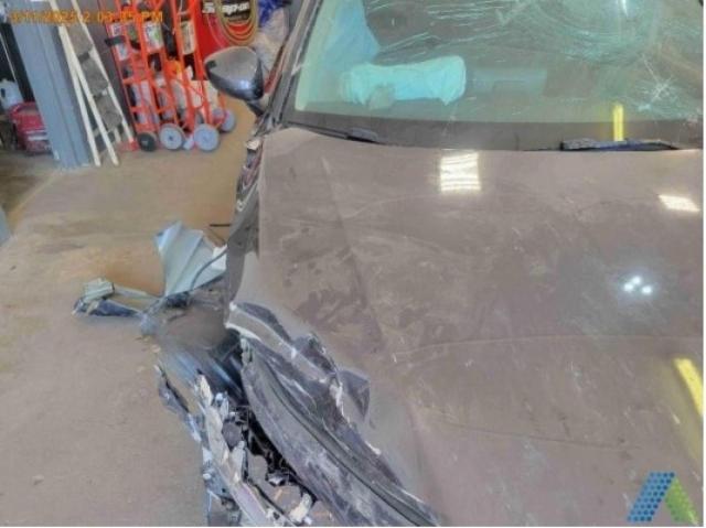 19XFL1H79RE015965 - 2024 HONDA CIVIC EXL GRAY photo 5