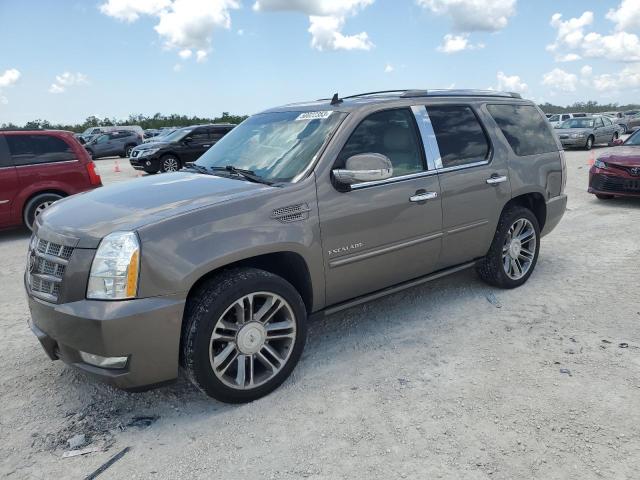 1GYS4CEF9DR107443 - 2013 CADILLAC ESCALADE PREMIUM BEIGE photo 1