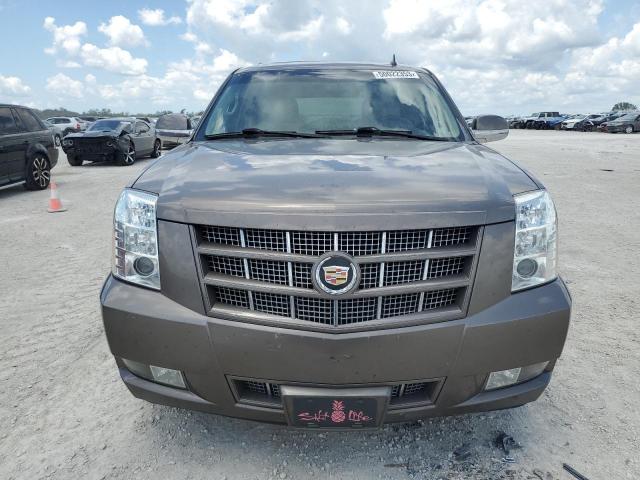 1GYS4CEF9DR107443 - 2013 CADILLAC ESCALADE PREMIUM BEIGE photo 5