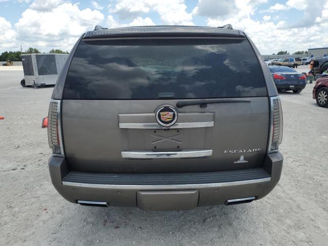 1GYS4CEF9DR107443 - 2013 CADILLAC ESCALADE PREMIUM BEIGE photo 6