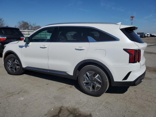 KNDRH4LG8R5248920 - 2024 KIA SORENTO EX WHITE photo 2