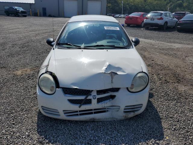 1B3ES26C04D626953 - 2004 DODGE NEON BASE WHITE photo 5