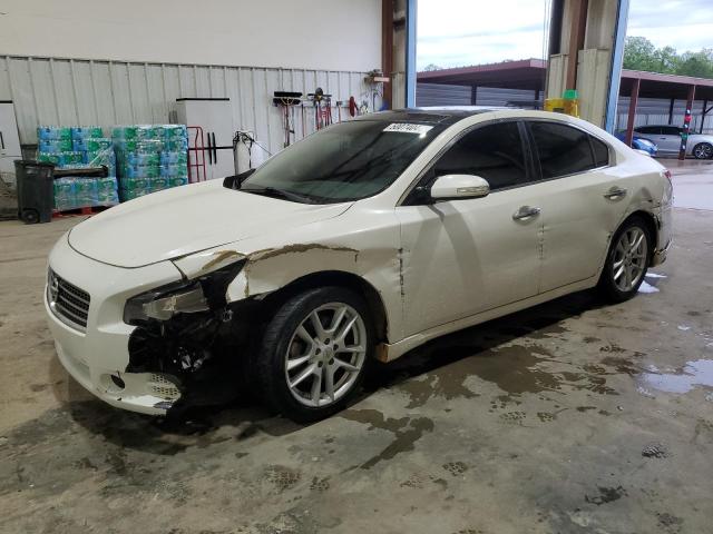 1N4AA5AP6BC810900 - 2011 NISSAN MAXIMA S WHITE photo 1