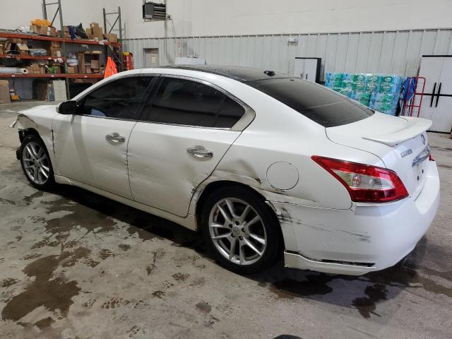 1N4AA5AP6BC810900 - 2011 NISSAN MAXIMA S WHITE photo 2