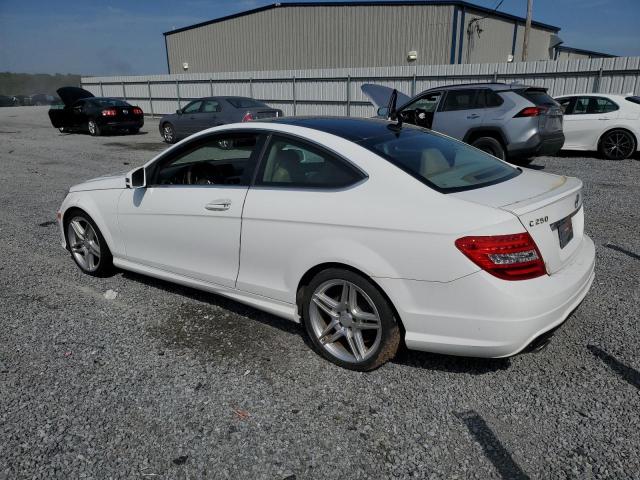 WDDGJ4HB2DG064259 - 2013 MERCEDES-BENZ C 250 WHITE photo 2