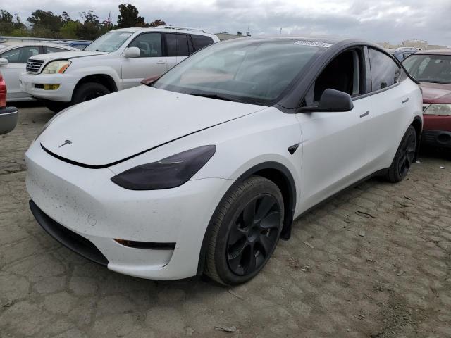 2023 TESLA MODEL Y, 