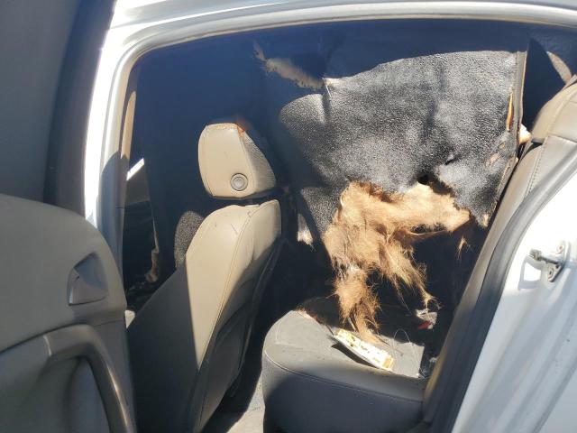 2G4GV5GX5G9137141 - 2016 BUICK REGAL GS Ақ фото 10