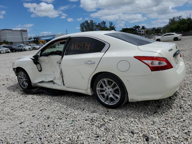 1N4AA5AP5AC812037 - 2010 NISSAN MAXIMA S WHITE photo 2