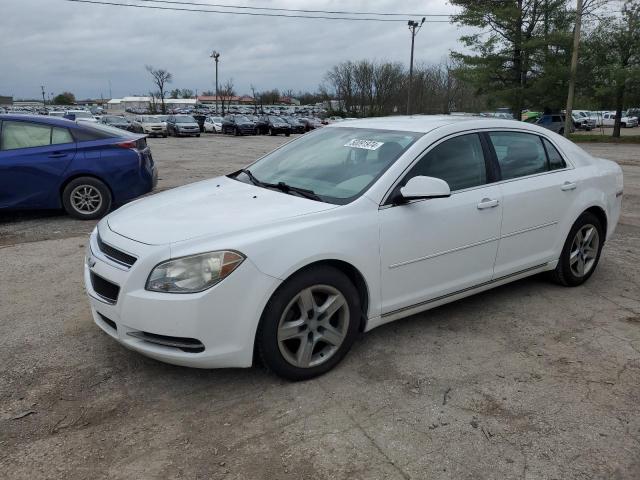 1G1ZC5E06AF167877 - 2010 CHEVROLET MALIBU 1LT WHITE photo 1