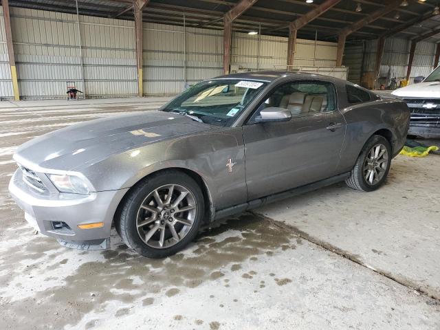 1ZVBP8AN4A5100861 - 2010 FORD MUSTANG GRAY photo 1