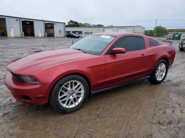 1ZVBP8AM9B5101626 - 2011 FORD MUSTANG RED photo 1