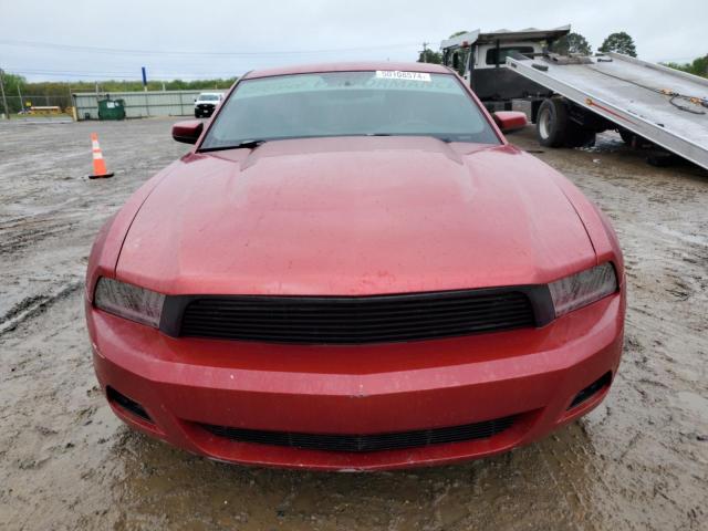 1ZVBP8AM9B5101626 - 2011 FORD MUSTANG RED photo 5