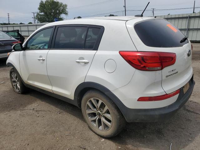 KNDPB3AC9E7562285 - 2014 KIA SPORTAGE BASE WHITE photo 2