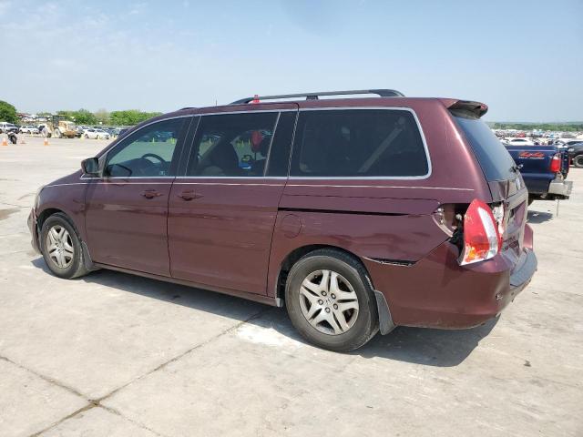 5FNRL38767B457604 - 2007 HONDA ODYSSEY EXL BURGUNDY photo 2