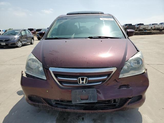 5FNRL38767B457604 - 2007 HONDA ODYSSEY EXL BURGUNDY photo 5