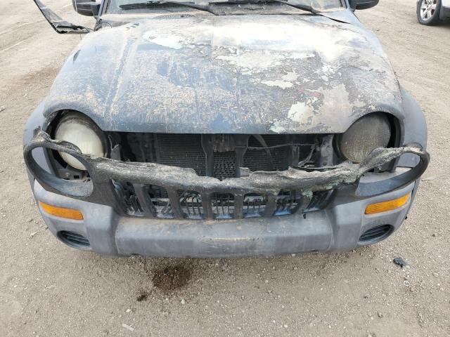 1J4GL48K42W283029 - 2002 JEEP LIBERTY SPORT 蓝色 照片 12