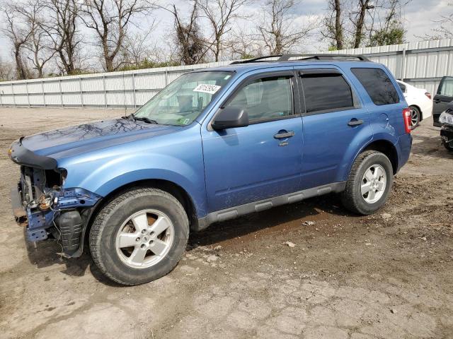 2010 FORD ESCAPE XLT, 