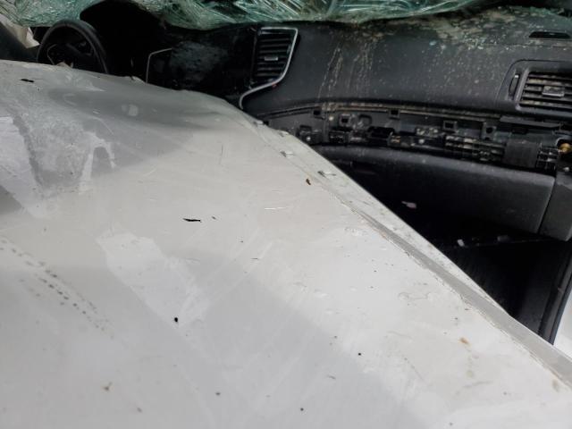 5FNYF7H54KB009976 - 2019 HONDA PASSPORT EXL Ağ foto 8