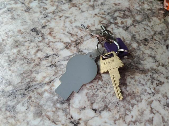 4YDT2922XGT416122 - 2016 KEYSTONE PASSPORT TAN photo 5