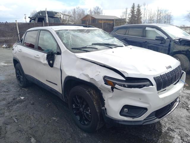 1C4PJMMB7PD112960 - 2023 JEEP CHEROKEE ALTITUDE LUX WHITE photo 4