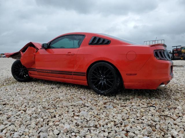 1ZVBP8AM7D5247168 - 2013 FORD MUSTANG RED photo 2