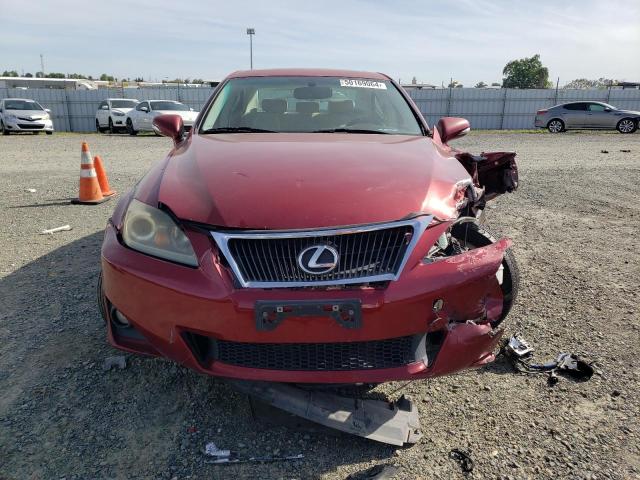 JTHCF5C20B5049970 - 2011 LEXUS IS 250 MAROON photo 5