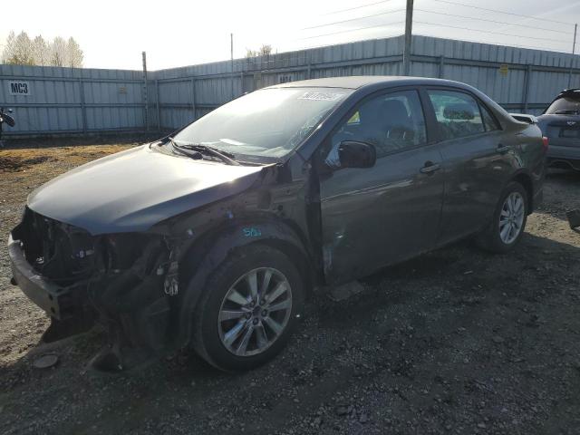 2010 TOYOTA COROLLA BASE, 