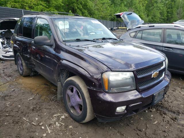 1GNDT13S782197512 - 2008 CHEVROLET TRAILBLAZE LS PURPLE photo 4