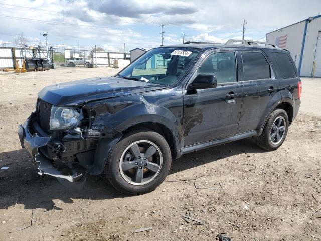 2012 FORD ESCAPE XLT, 