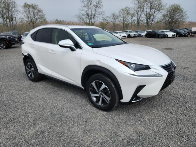 JTJBARBZ0K2188741 - 2019 LEXUS NX 300 BASE თეთრი ფოტო 1