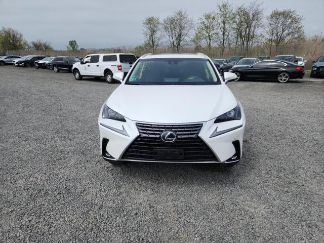 JTJBARBZ0K2188741 - 2019 LEXUS NX 300 BASE თეთრი ფოტო 11