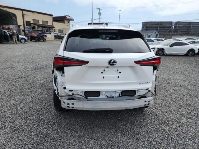 JTJBARBZ0K2188741 - 2019 LEXUS NX 300 BASE თეთრი ფოტო 12
