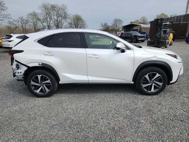 JTJBARBZ0K2188741 - 2019 LEXUS NX 300 BASE თეთრი ფოტო 13